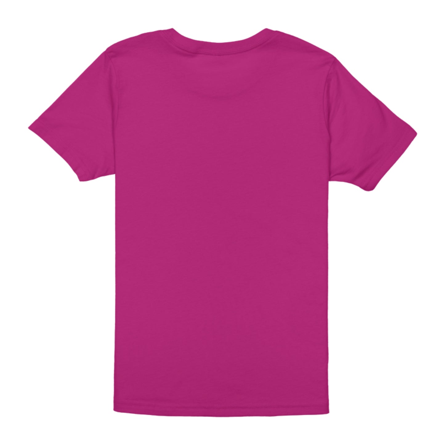 Skate America 2024, Bella + Canvas YOUTH Unisex Jersey Tee