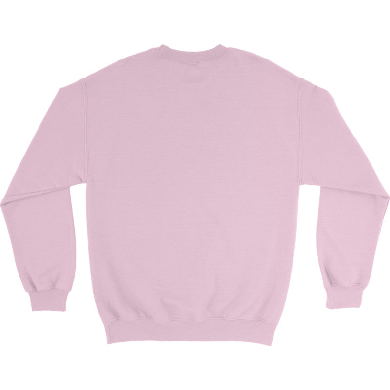 National Qualifying Series 2024, Gildan Heavy Blend Crewneck sweatshirt