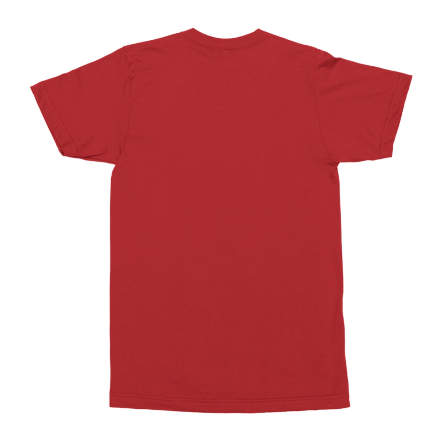 USA - Unisex Fine Jersey T-Shirt