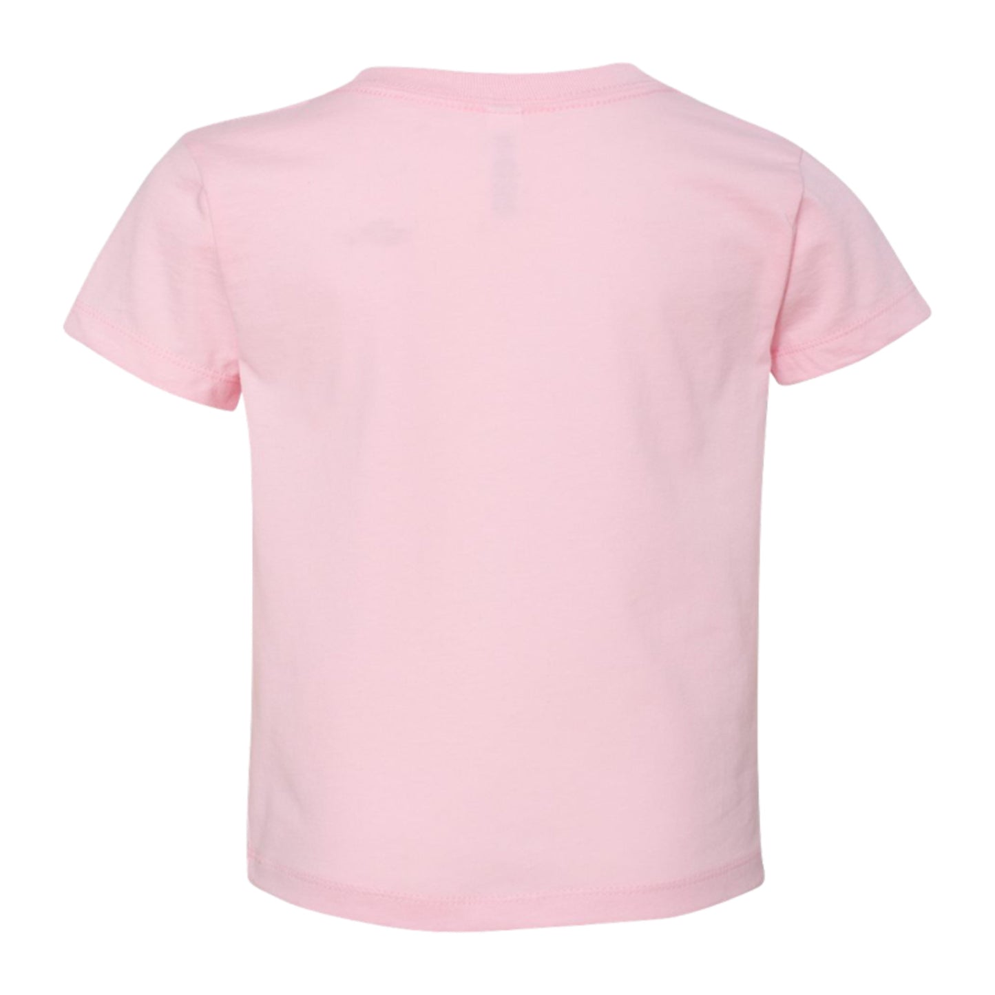 Black History Skate, Bella + Canvas TODDLER Jersey Tee